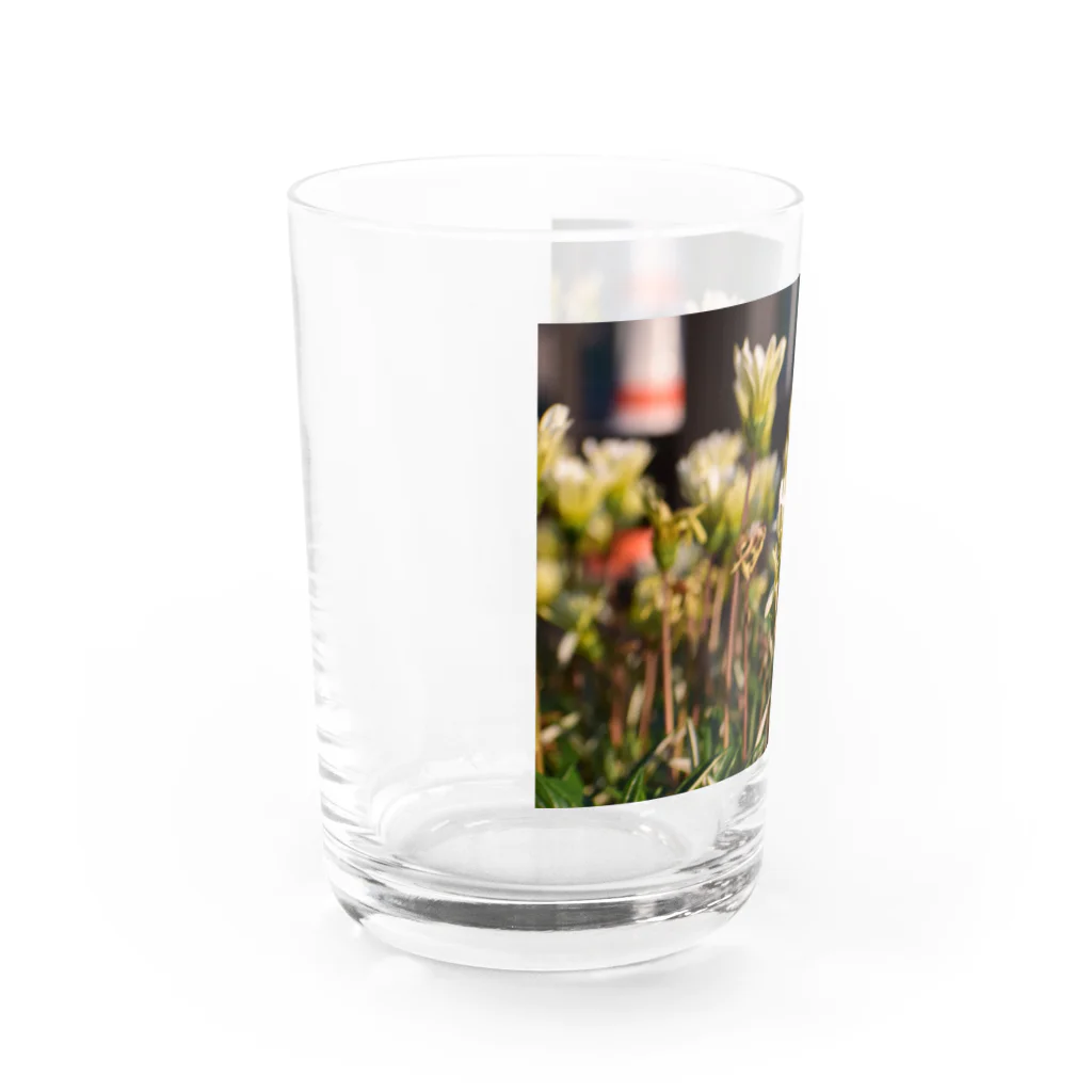 かのえ公式ぐっずしょっぷの道草あるいておはな Water Glass :left