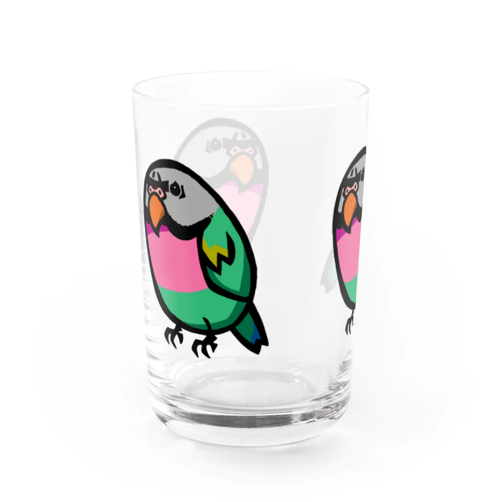 カゲトラのダルマインコのカゲトラさん（ギョリギョリ・トリオ） Water Glass :left