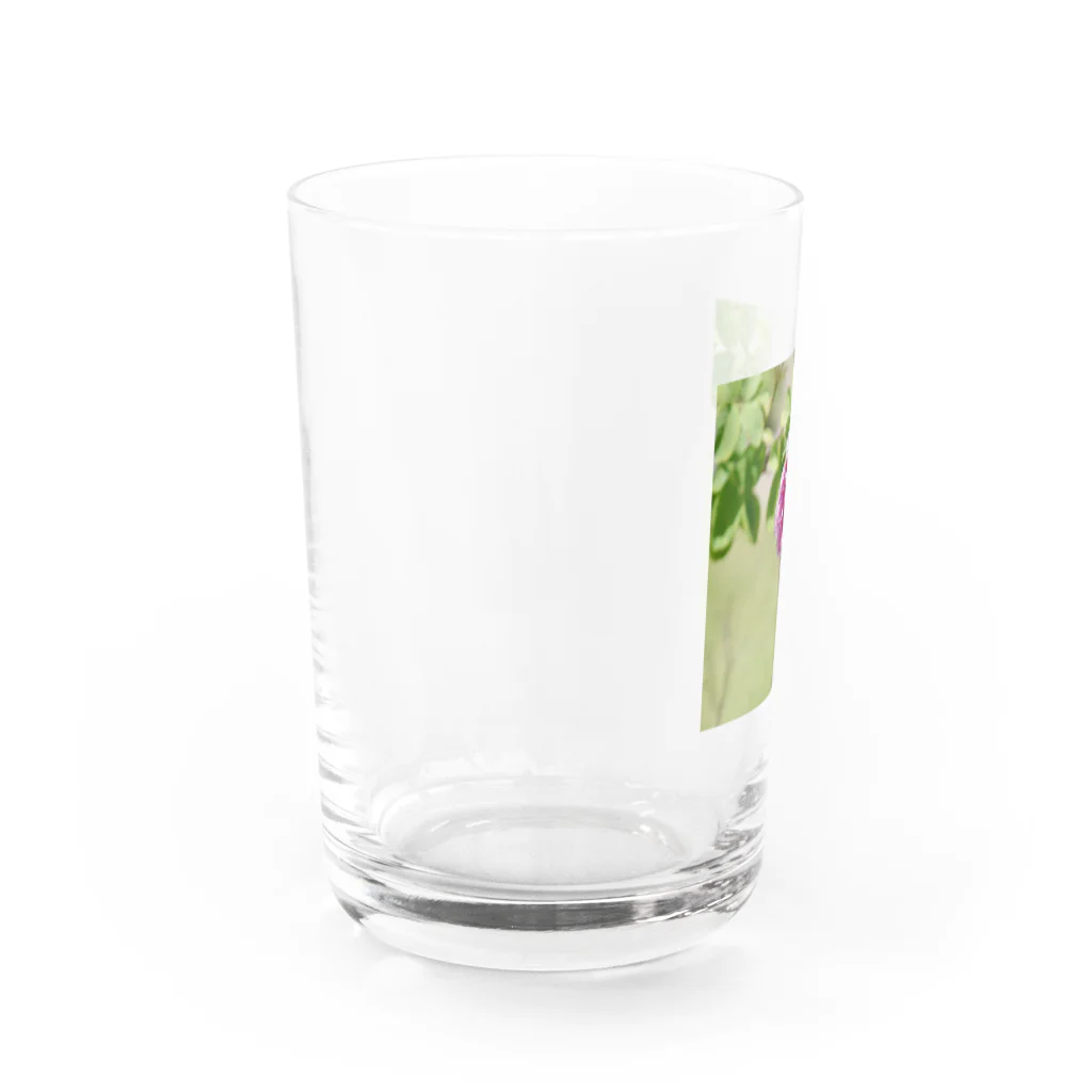 Amie's Gardenのハーブのお店のダマスクローズ Water Glass :left