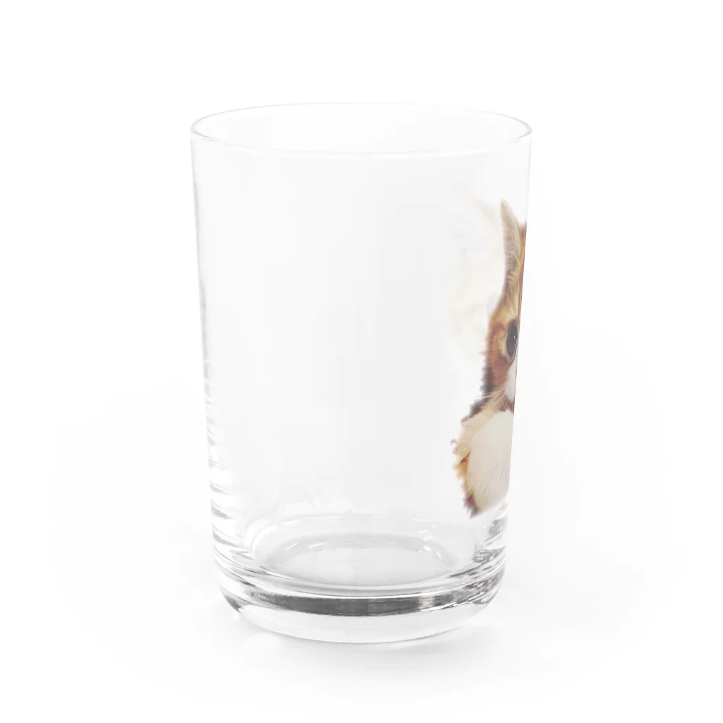 すりるもんすたぁのマークⅢ Water Glass :left