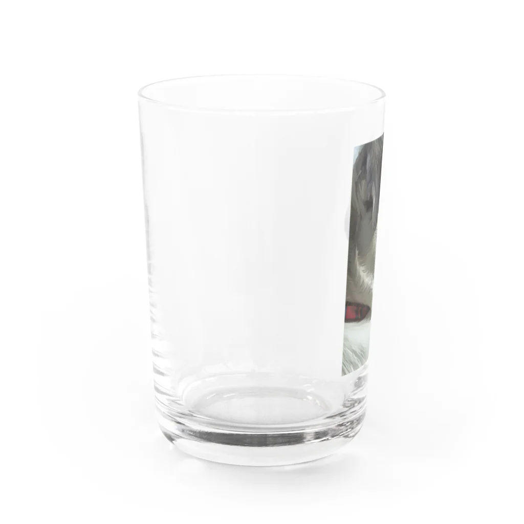 パグのてんちゃんのパグのてんちゃん Water Glass :left