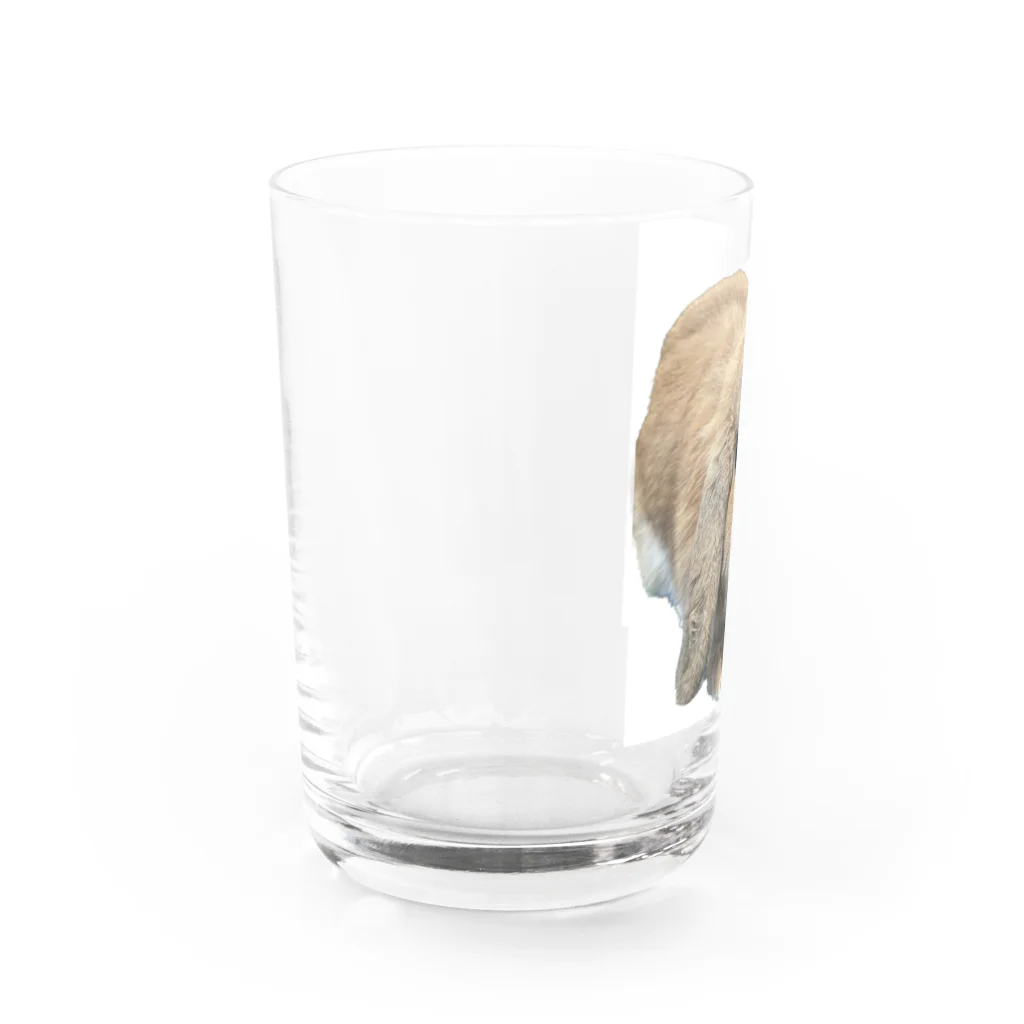 もふもふララちゃんのウサギグラス Water Glass :left