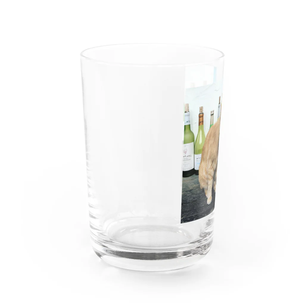 acobi'sの酒猫 Water Glass :left