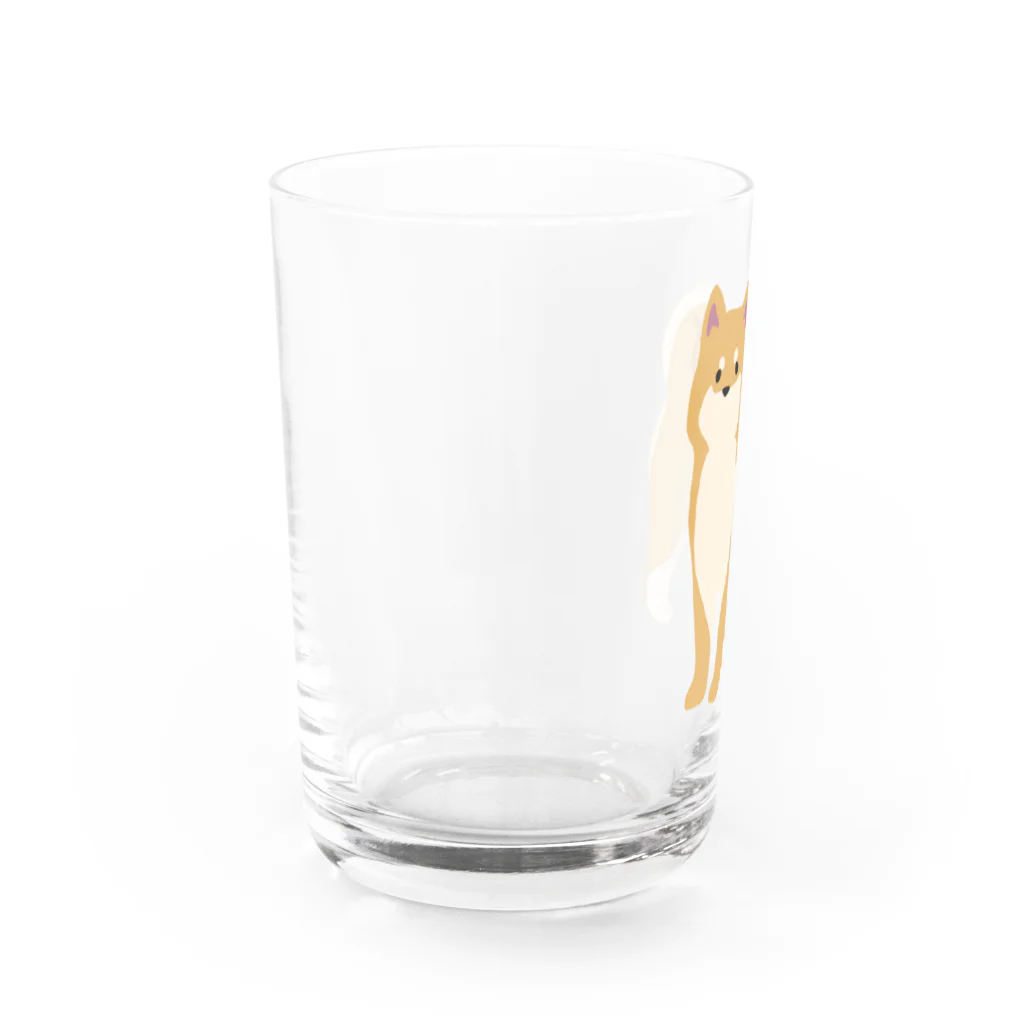 Kotetsu diary(SUZURI店)のゆるゆる柴犬 Water Glass :left