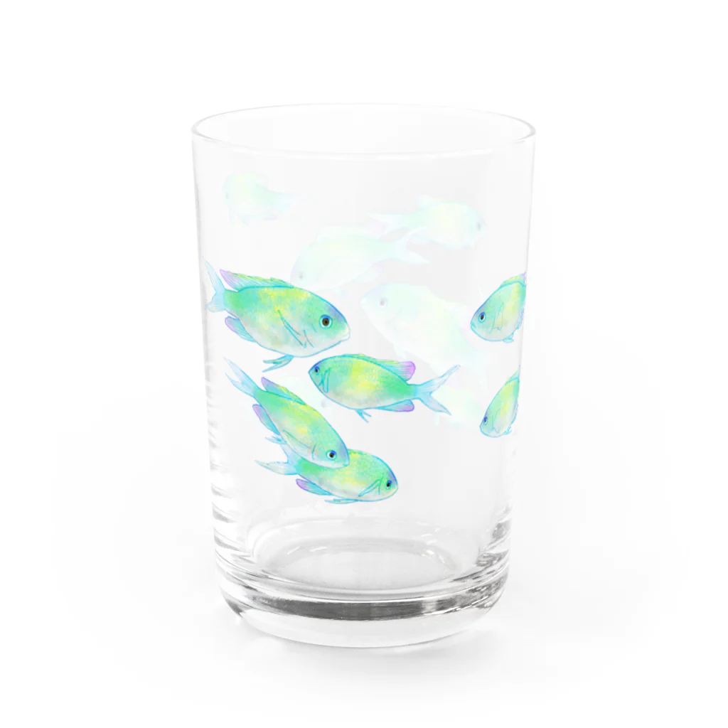 CRONEGRAのデバスズメダイちゃんコップ Water Glass :left