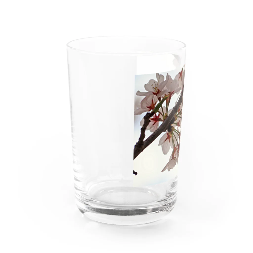 ムーンライトのイラスト風SAKURA Water Glass :left