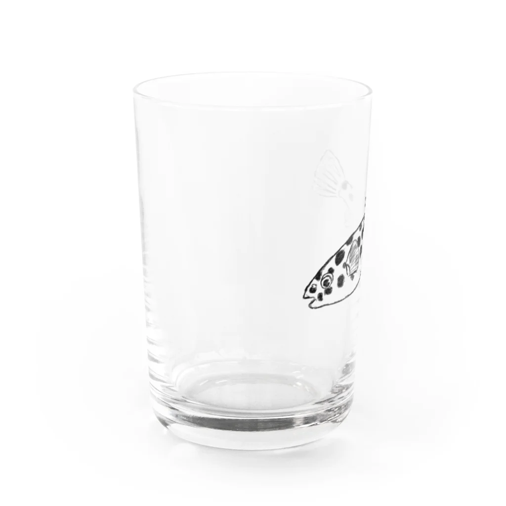 渓鯉庵のミドリフグ Water Glass :left