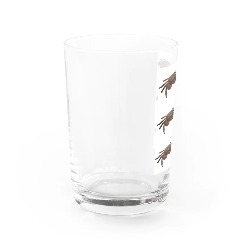 たま。のカメラ目線なアカテガニのカエデちゃん Water Glass :left