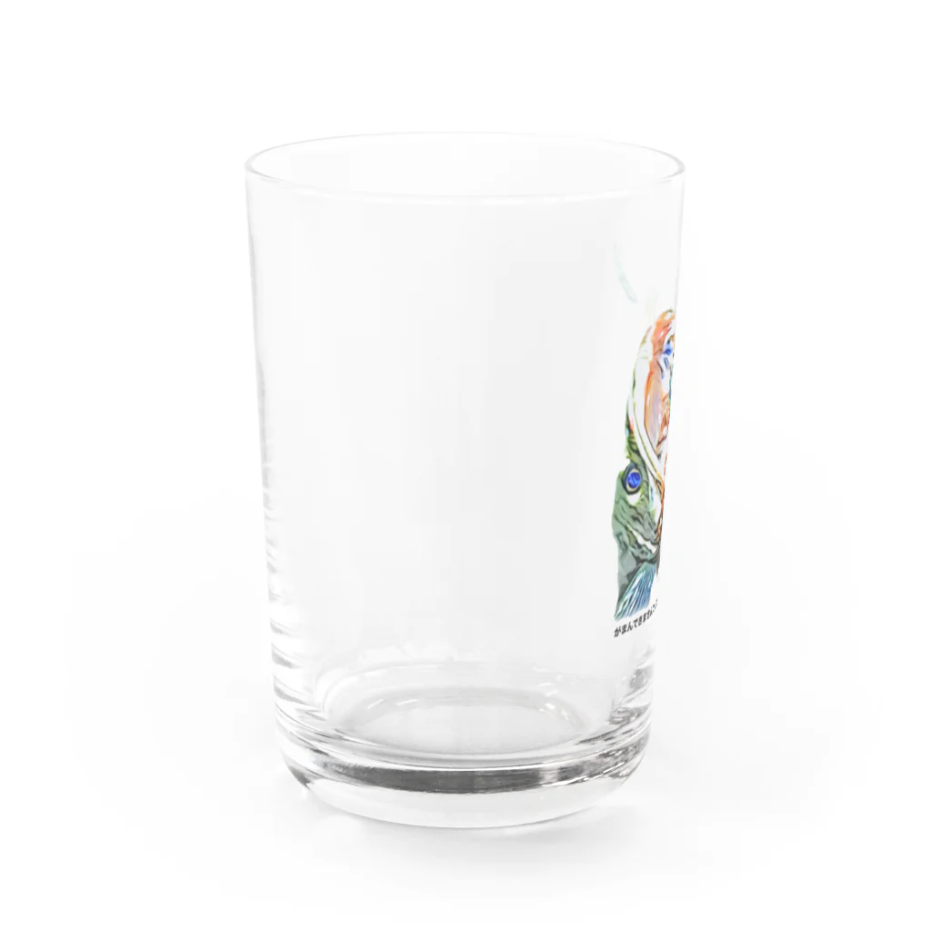 シーバスフィッシングの鉄板好物でして Water Glass :left