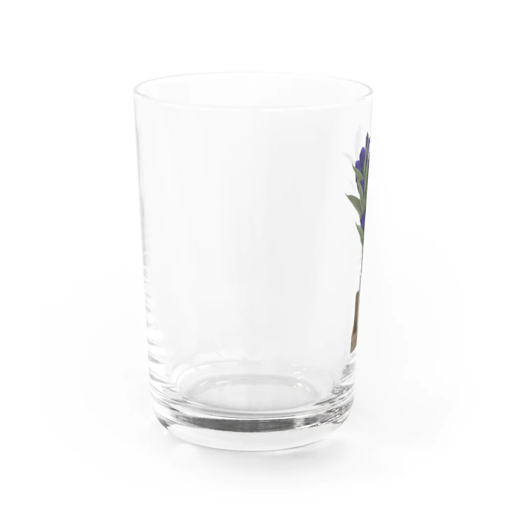 ビョンの名はリンドウ Water Glass :left