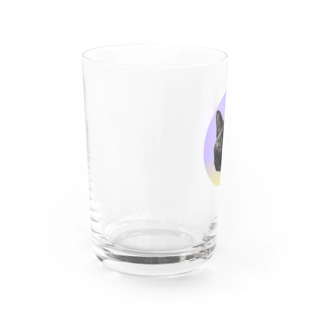 osuimono(ふーふのふ～)のきょとんとした猫 Water Glass :left