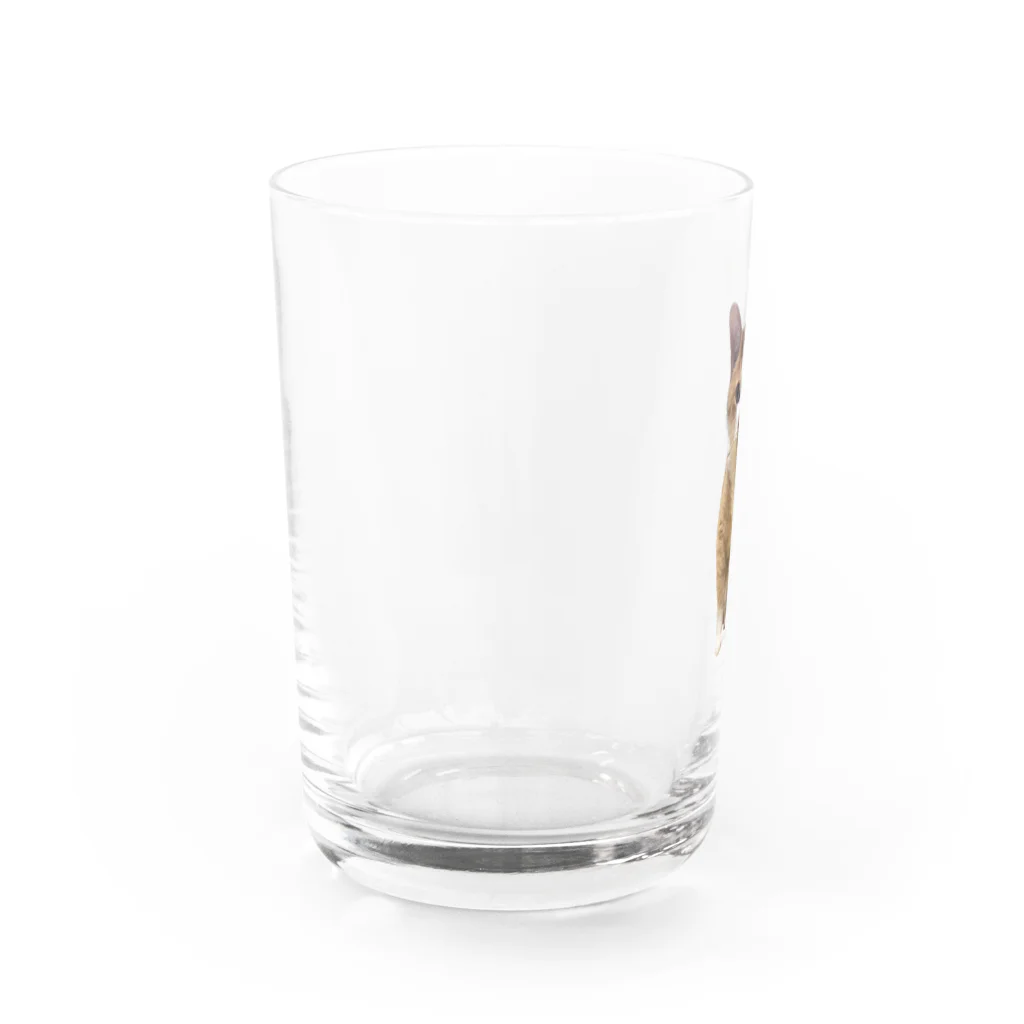 傍若無人のちゃたろうくんのすわりかたがへんなちゃたろうくん Water Glass :left