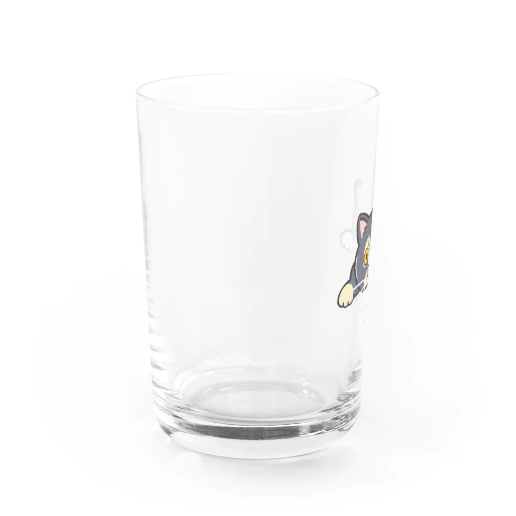 WORLD1グッズショップののぞきねこちゃん Water Glass :left