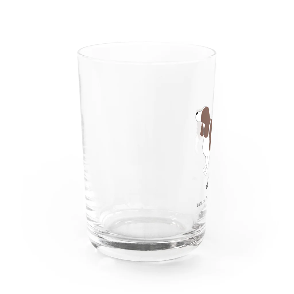 meongmeong（モンモン）の【名入れ】イングリッシュスプリンガースパニエル Water Glass :left