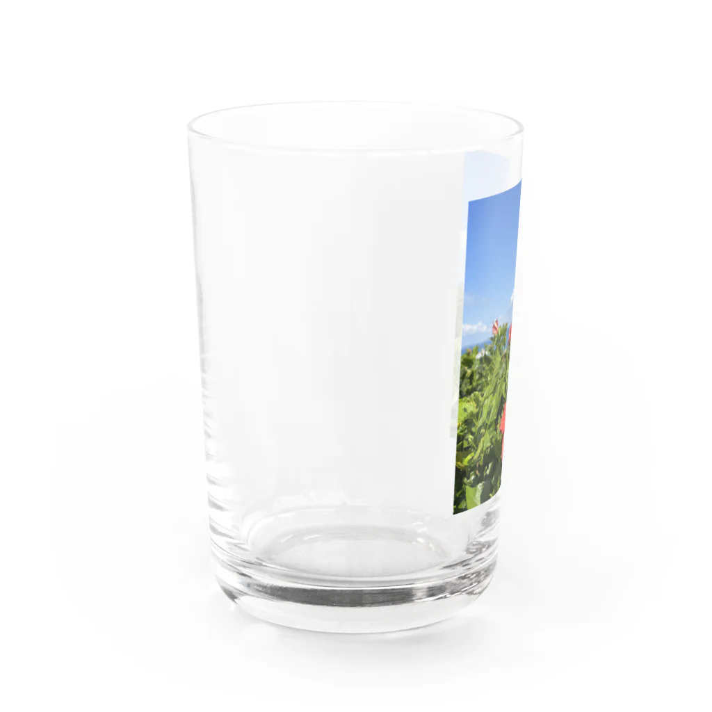 Ripples沖縄レジンアートの沖縄の海とハイビスカス Water Glass :left