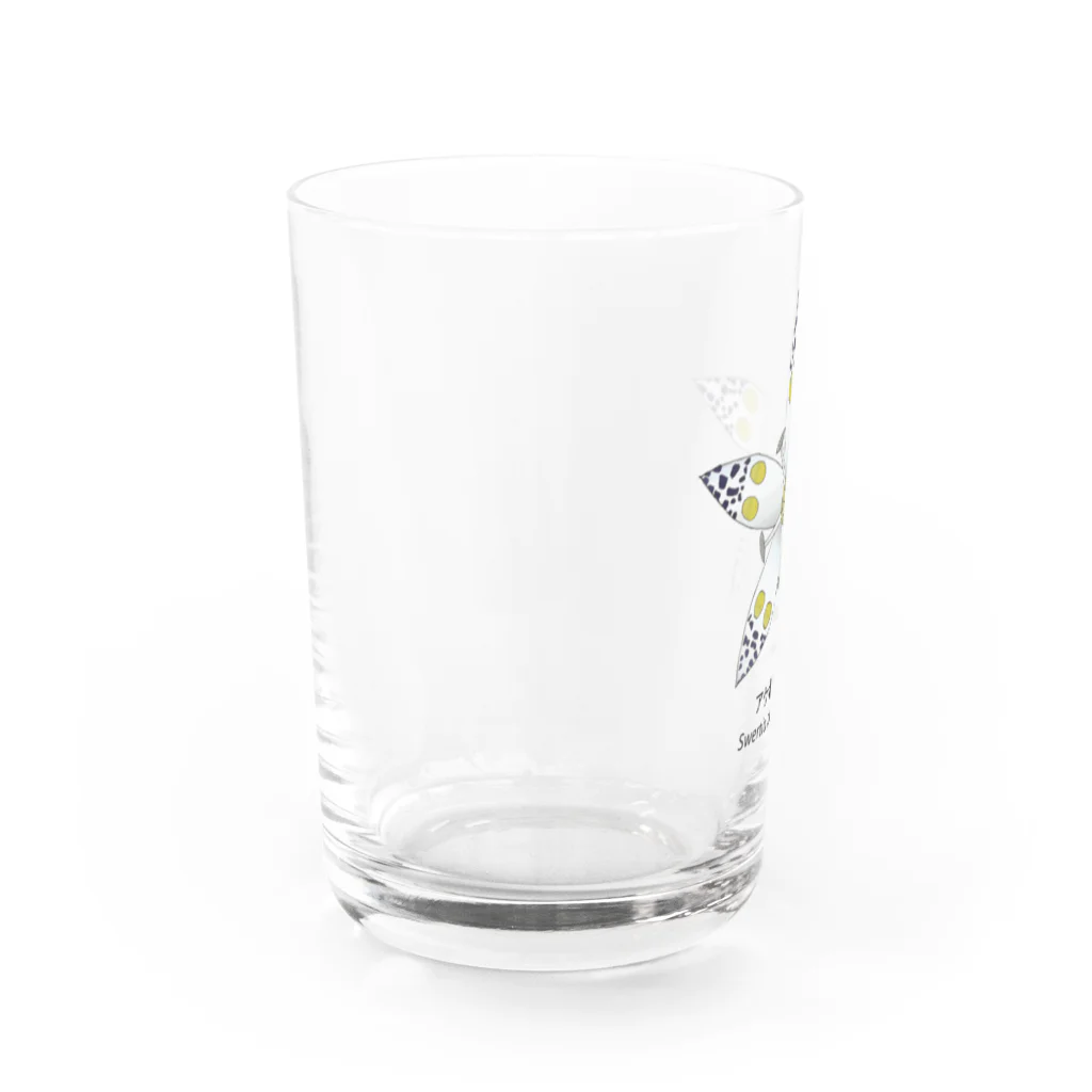 アデニウム(花・植物)のアケボノソウ(曙草) Water Glass :left