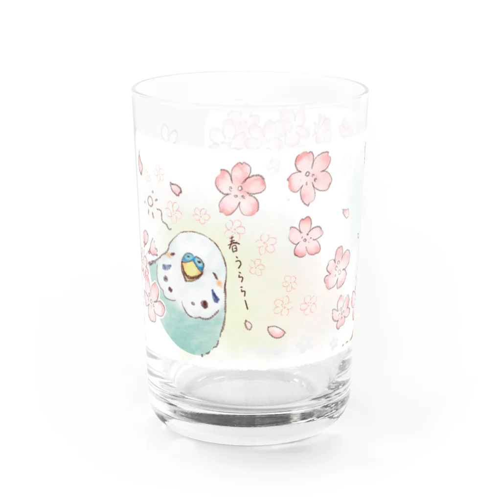 - 羽やすめのトマリ木 -の水色インコさんと春うらら Water Glass :left