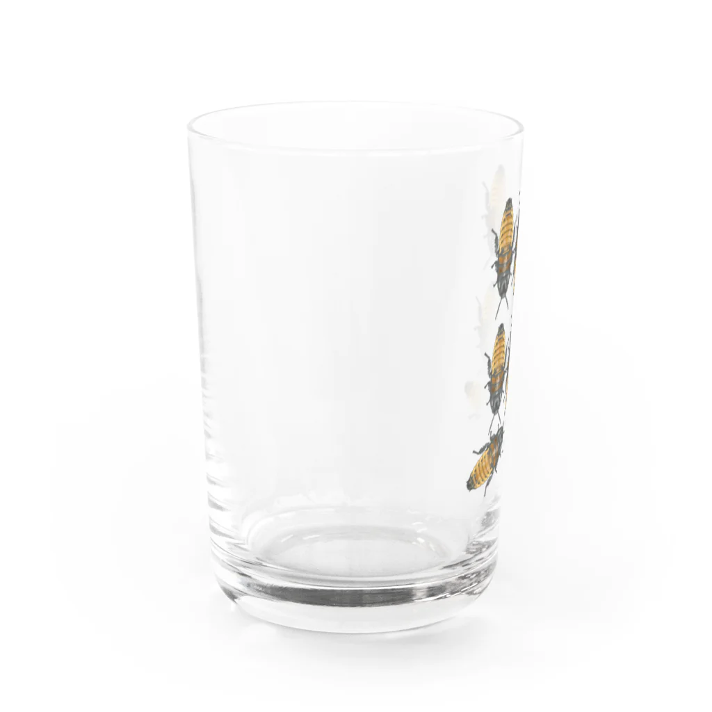 Nao/ごちぶり家のデュビアくん Water Glass :left