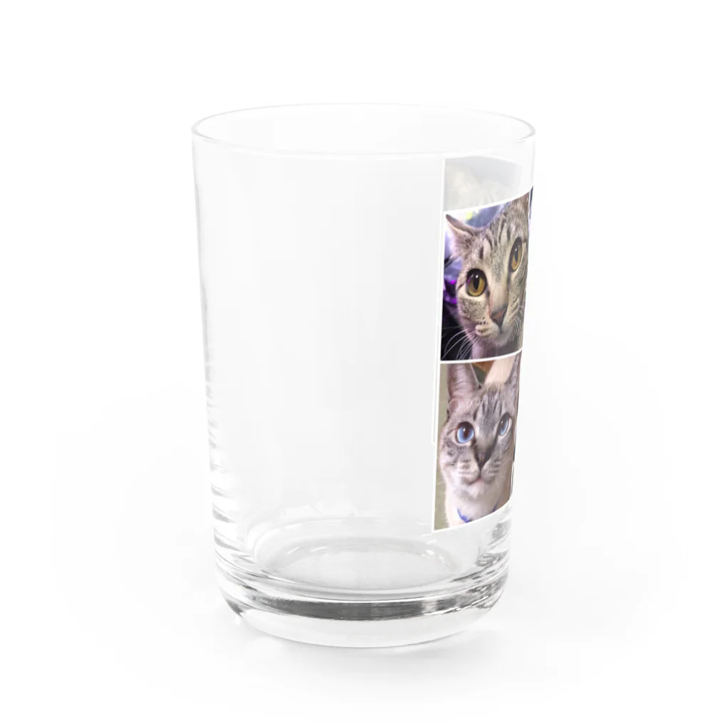 poohsuke18のにゃんにゃん Water Glass :left