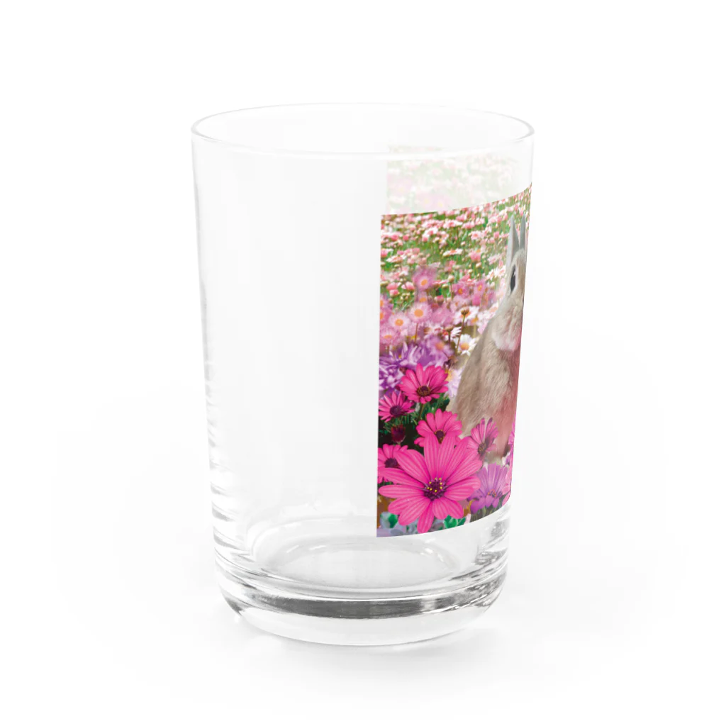 うさぎのうみちゃんねるショップのそらちゃん-うさぎのうみ Water Glass :left