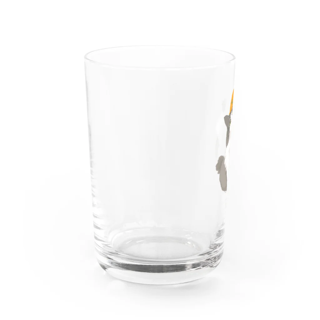 猫のイラスト屋さんのrin Water Glass :left