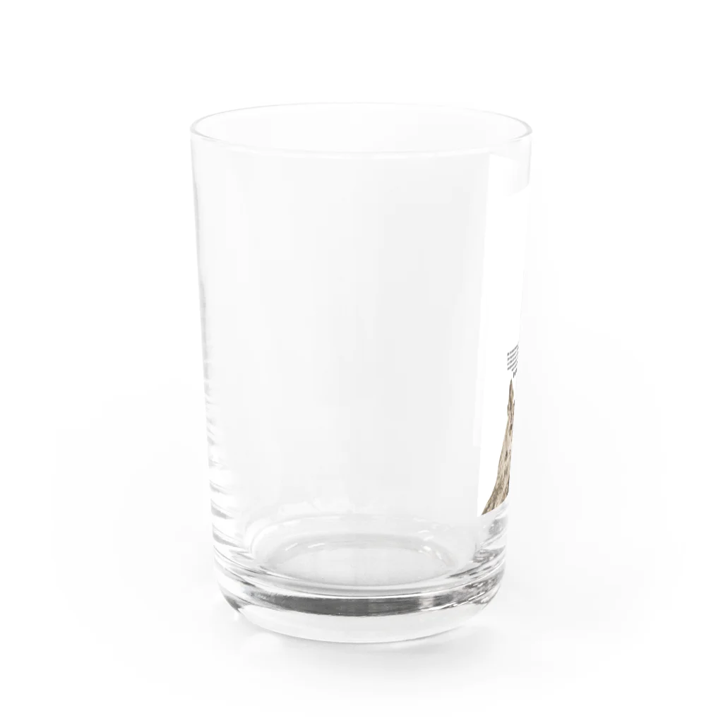 有限会社サイエンスファクトリーのベンガルワシミミズクのタイミー【縦/white】 Water Glass :left