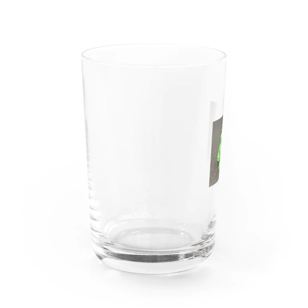 M.FAXのカエルモドキ Water Glass :left