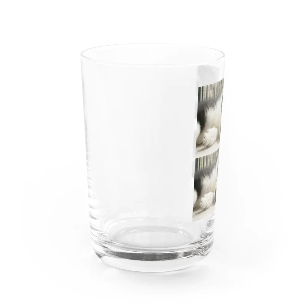 【お店】ボーダーコリーのモクの床 Water Glass :left