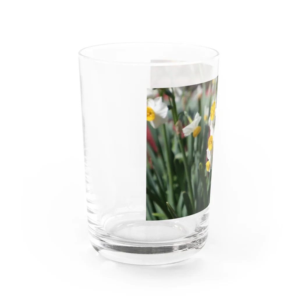 s__y_104のすいせん Water Glass :left