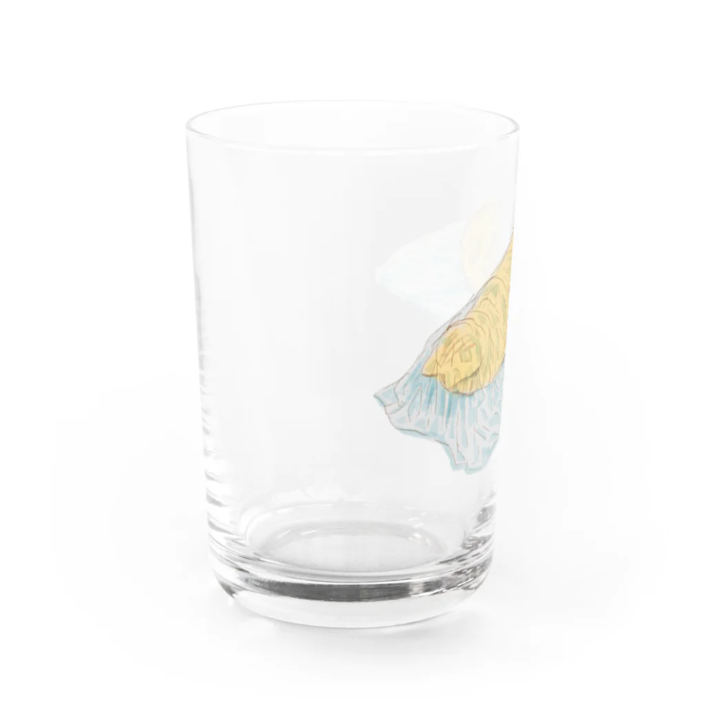 イエネコのビニールの下でごめん寝する茶トラ猫 Water Glass :left