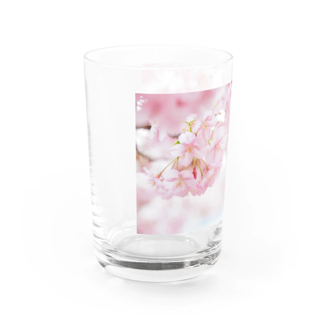 スイーツと深呼吸、時々　ネコのSAKURA Water Glass :left