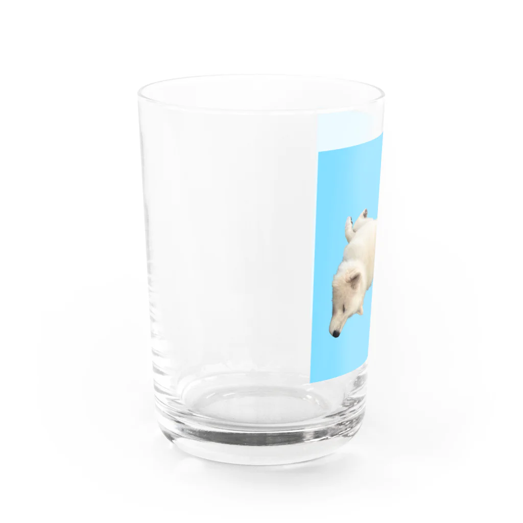 わんライフガーデンのハリーとおやすみ💤 Water Glass :left