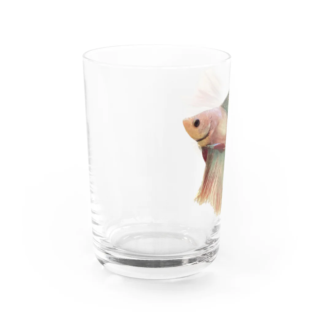 momoco3510のゆきちゃん Water Glass :left