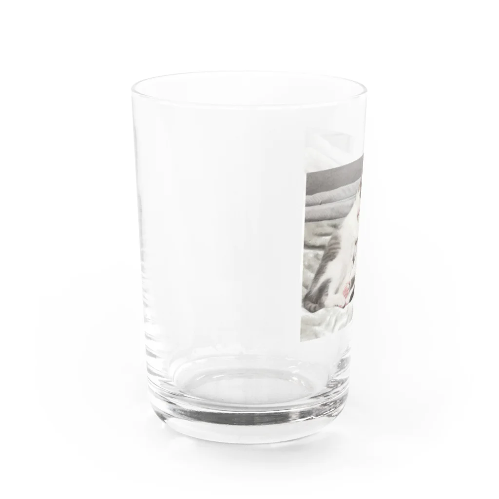 RikuMiku(りくみく）のりくみく（なかよし） Water Glass :left