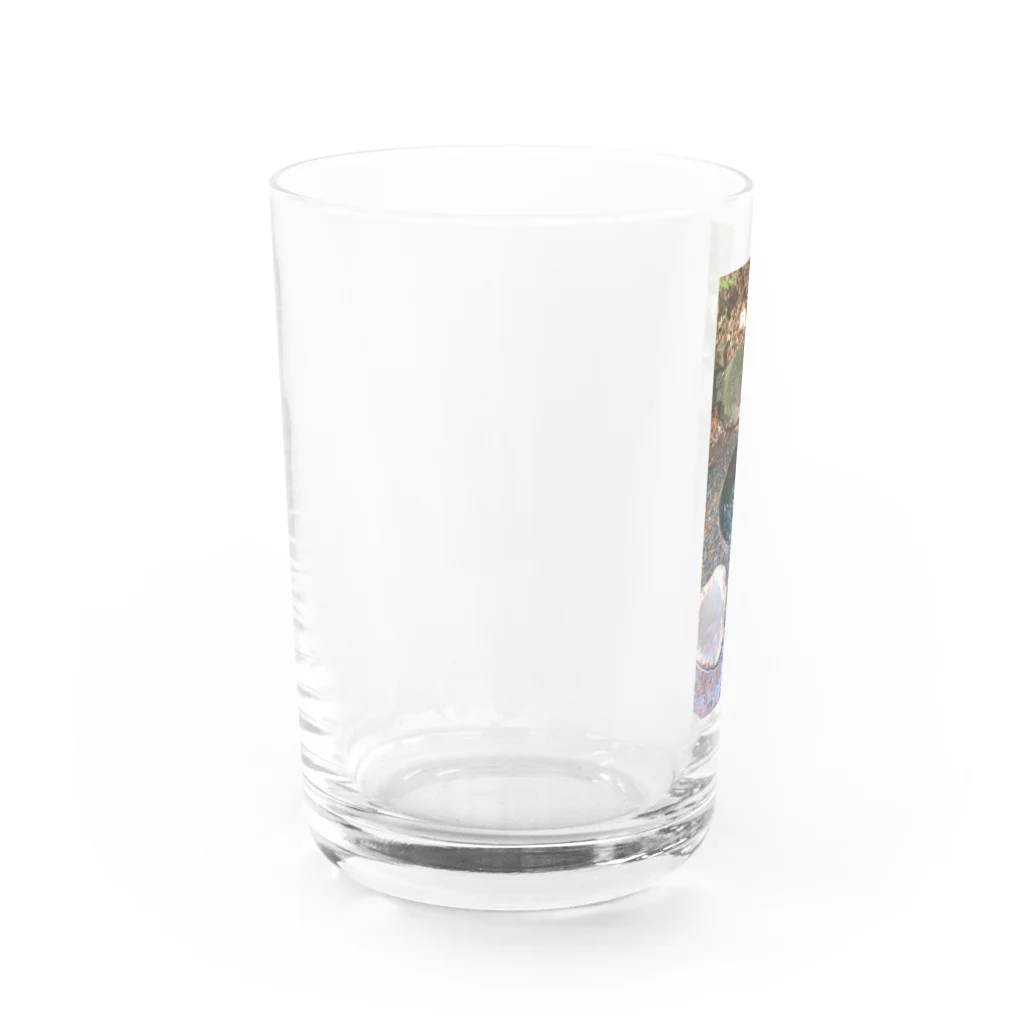 深夜のノリで作ったグッズの清正井戸 Water Glass :left