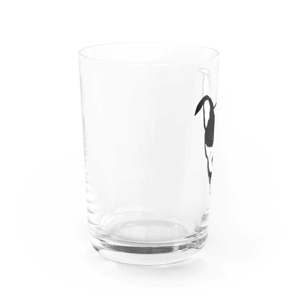Soleil Amberのブルテリアの商品 Water Glass :left
