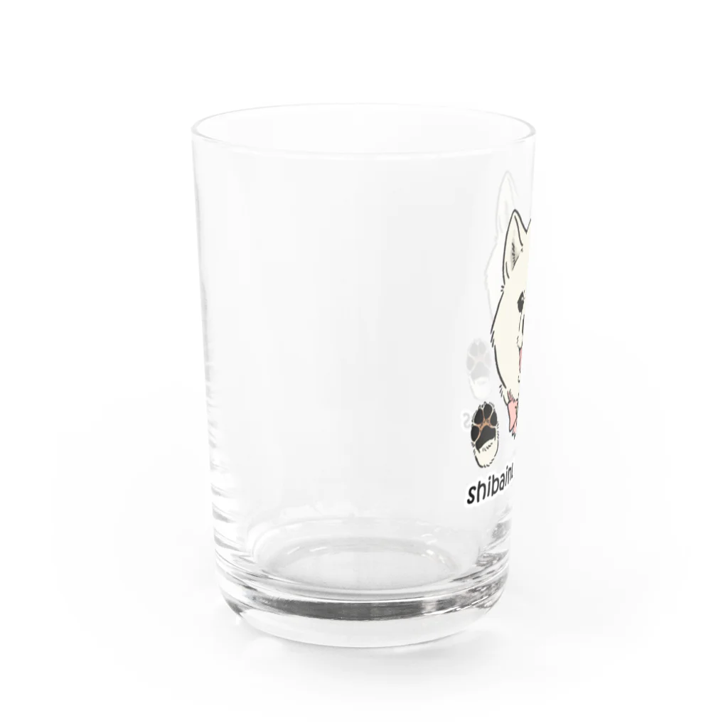 豆つぶのshiba-inu fanciers(白柴) Water Glass :left