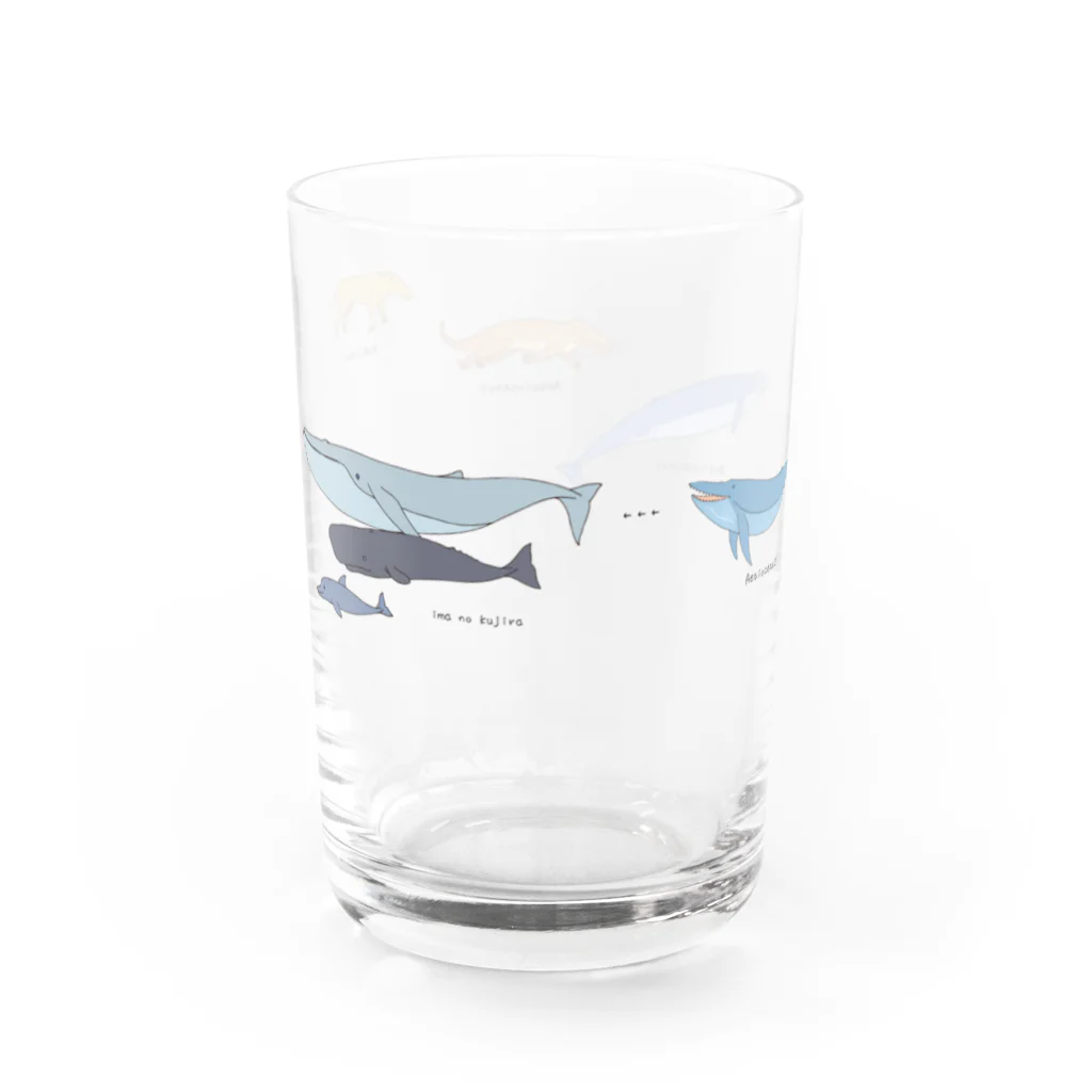 umisachi-embのおおむかしのクジラグラス Water Glass :left