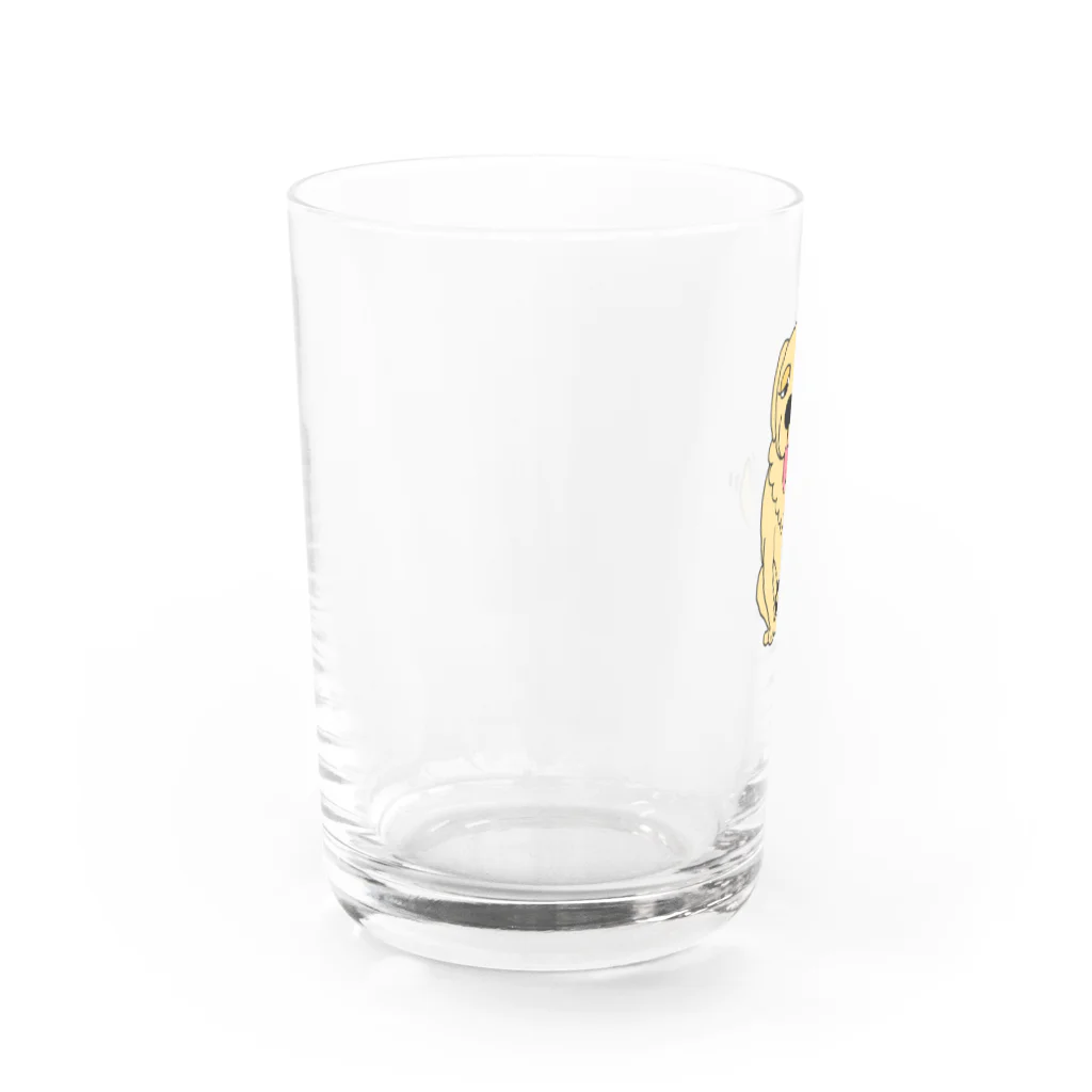 sunsum.Bのお座りゴールデン（全身） Water Glass :left