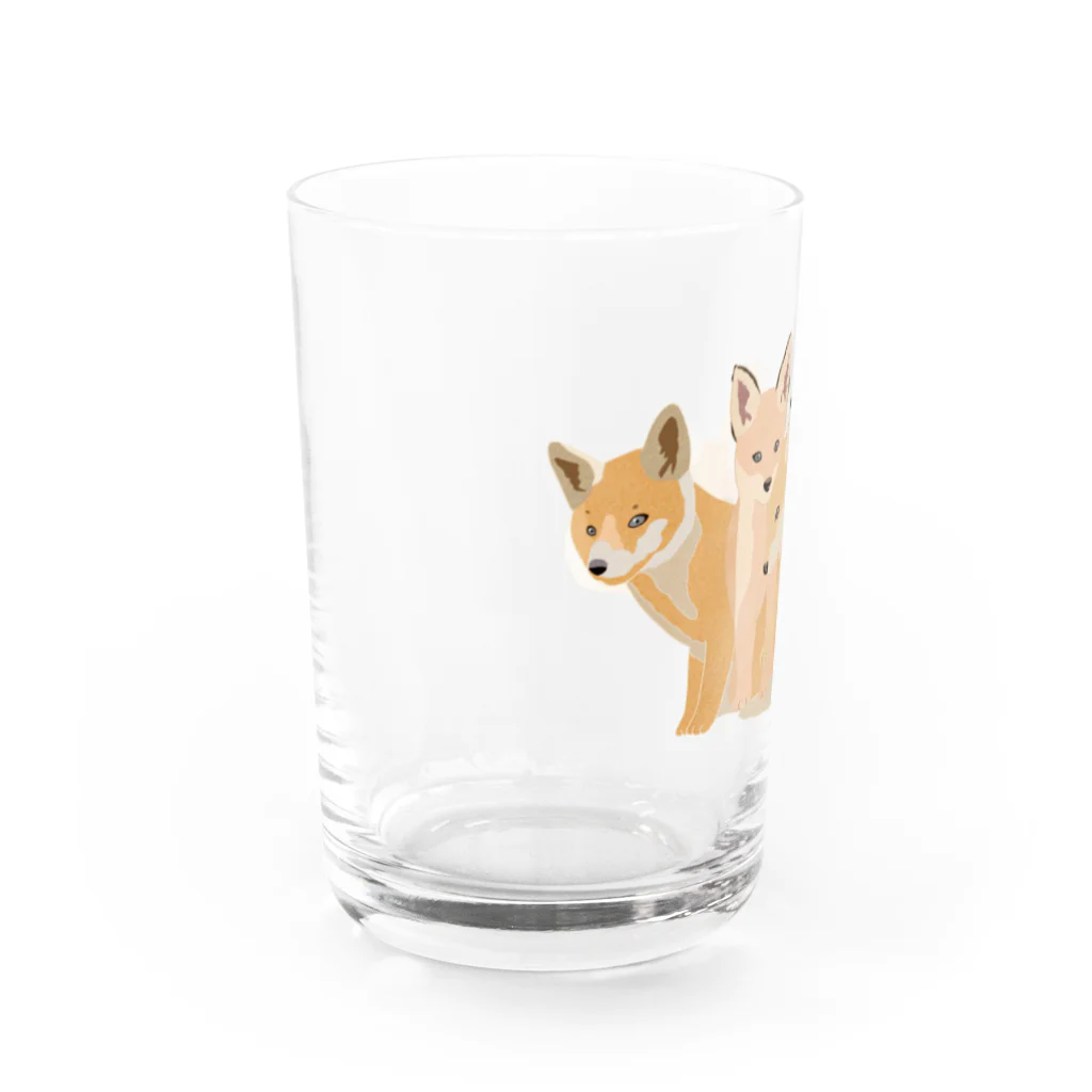 masumi maedaの寄り添う　キツネたち Water Glass :left