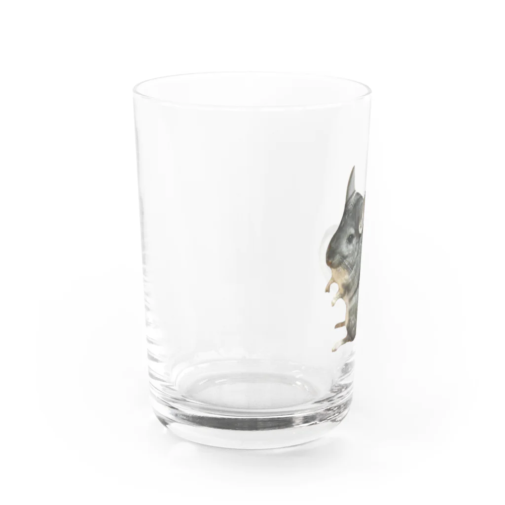 いきもの大好き！ほほえみフレンズのチンチラが好きな人の為のアイテム Water Glass :left