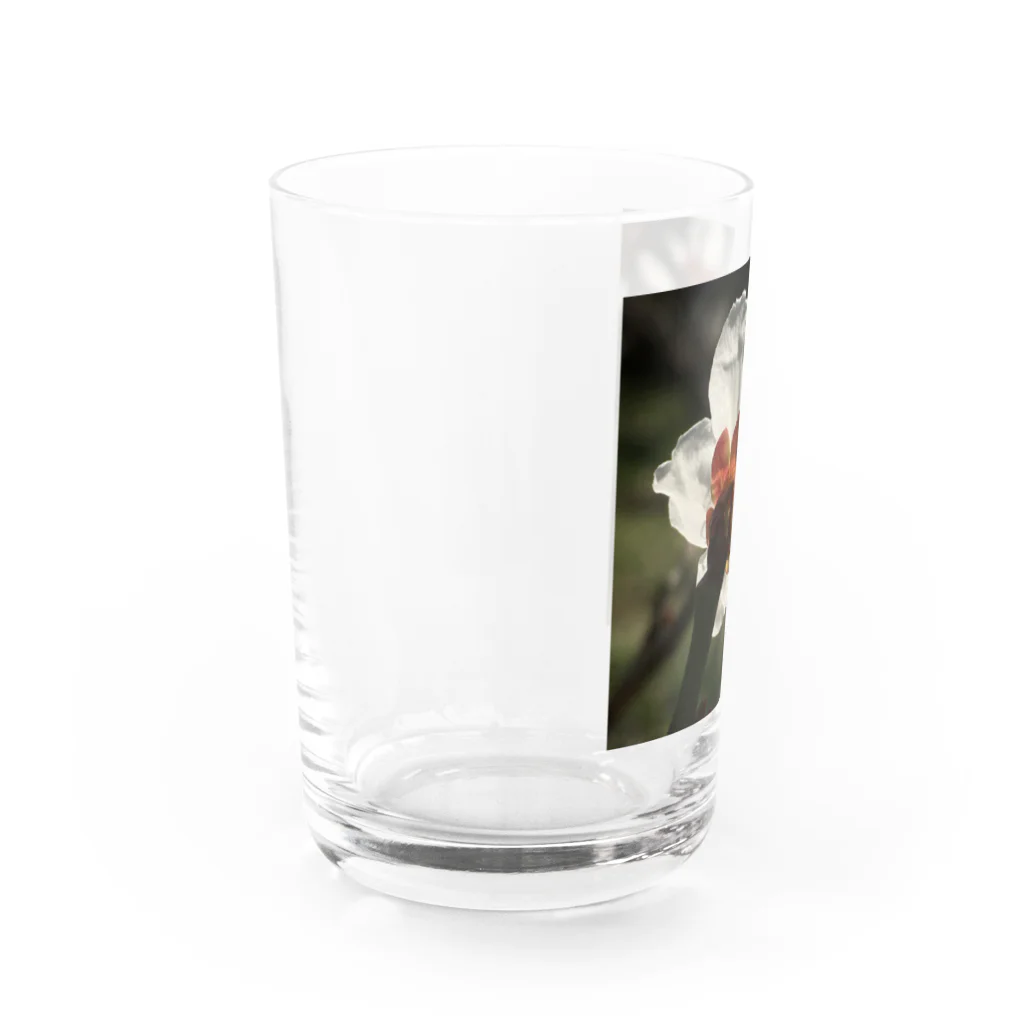 hukuchiyan7611の梅 Water Glass :left