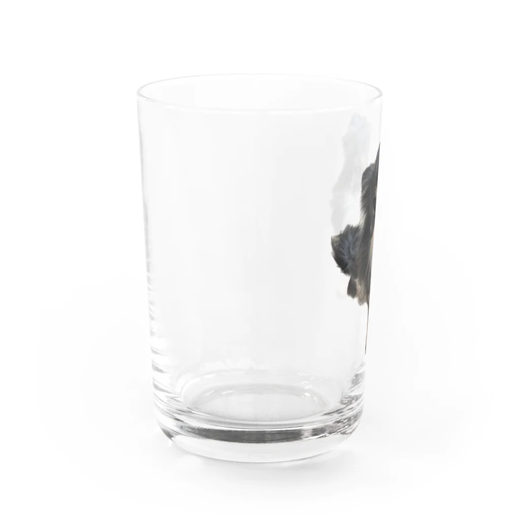 ちわわのりんちゃんのちわわのりんちゃん Water Glass :left