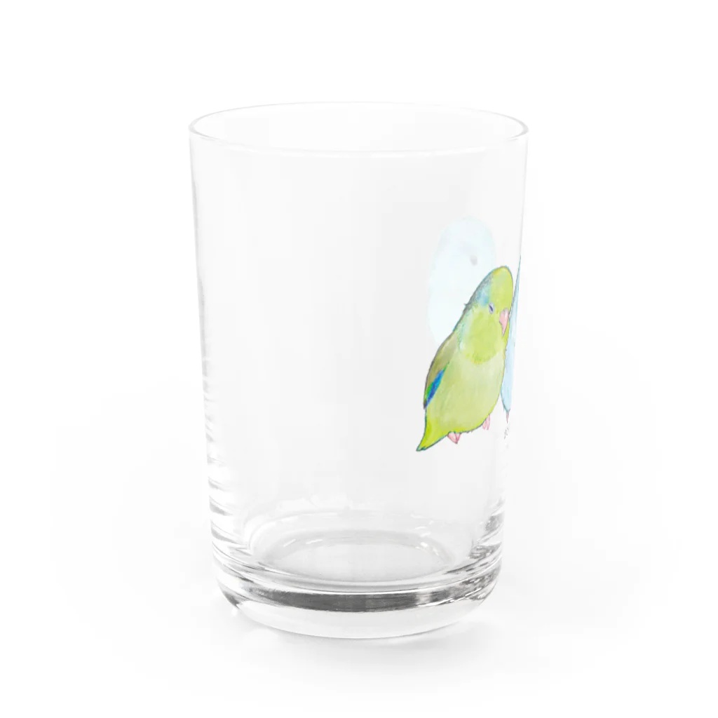 aoamo shopのaoamoマメルリハ Water Glass :left