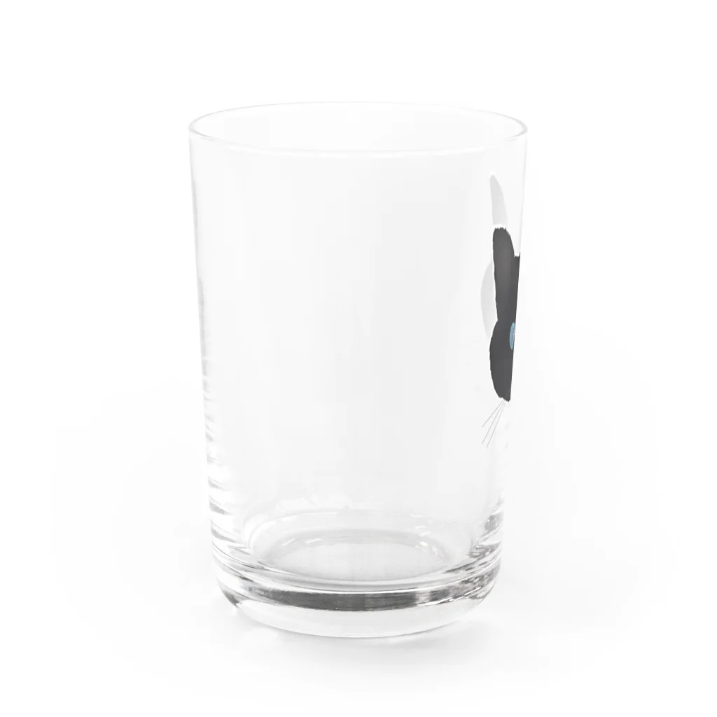 小鳥と映画館の青い瞳の黒猫 Water Glass :left