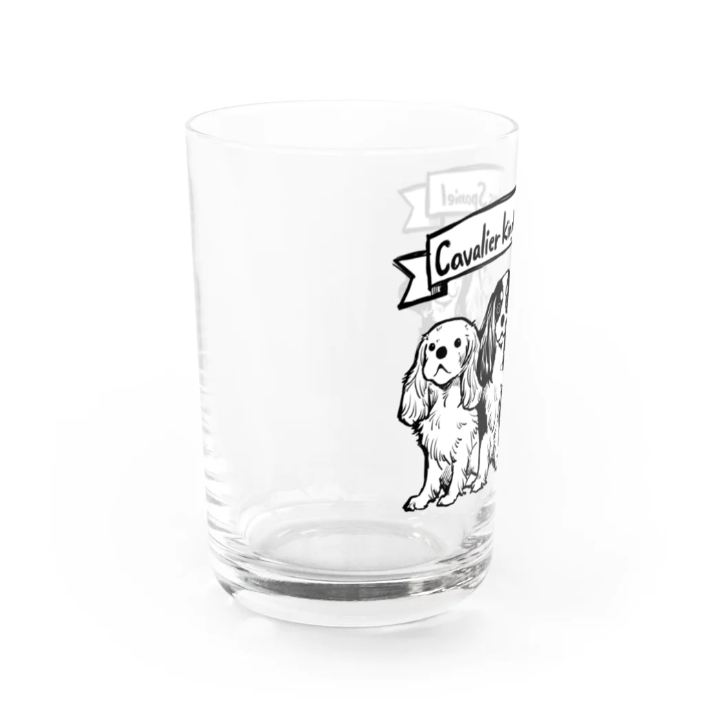 BLENHEIMのモノクロキャバリア Water Glass :left