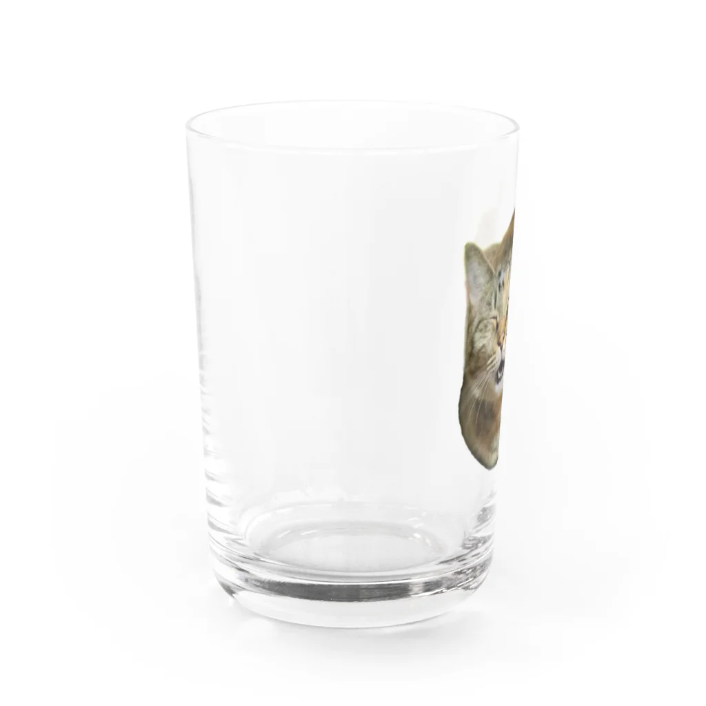 桃くるみSHOPのアハハにゃん(おててないない) Water Glass :left