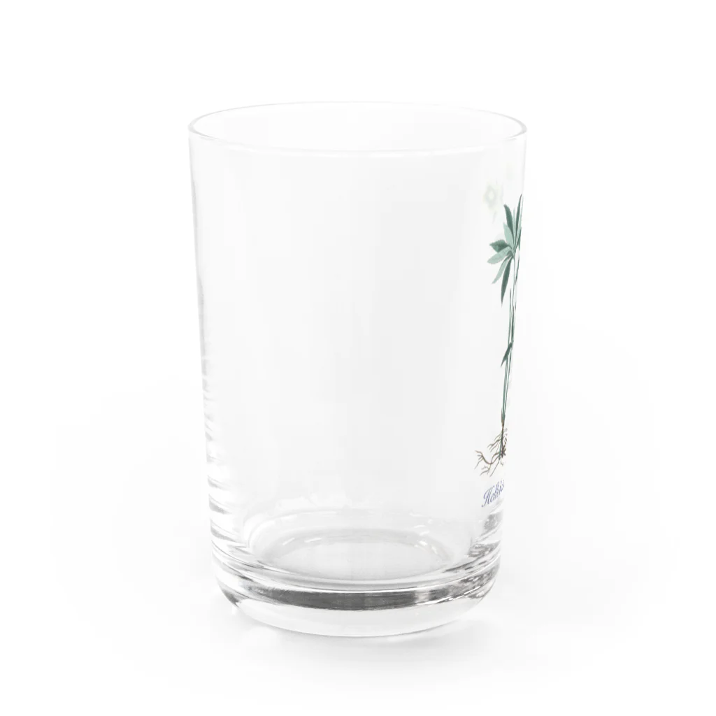 Nursery Rhymes  【アンティークデザインショップ】のクリスマスローズ - アサギフユボタン Water Glass :left