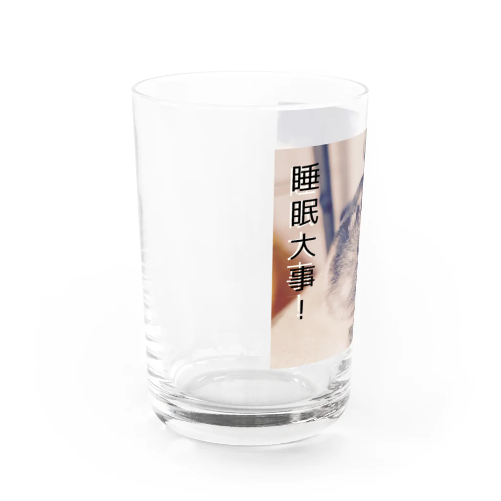 Kawauso-sanの睡眠大事！ Water Glass :left