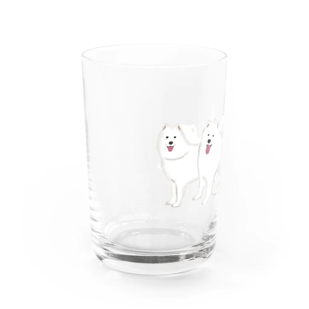 masumi maedaの寄り添う　サモエド　犬 Water Glass :left